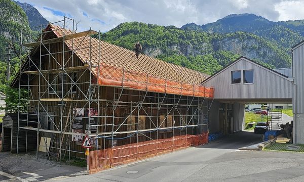 Screenshot_20250917-194916_Gallery