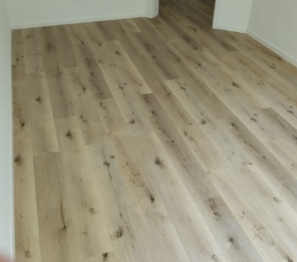 Screenshot_20250917-192235_Gallery